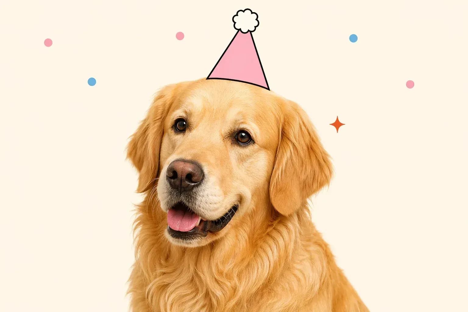 Photo Golden Retriever